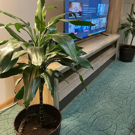 Daire Velky Bratislava