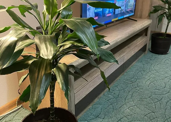 Apartament Velky Bratislava